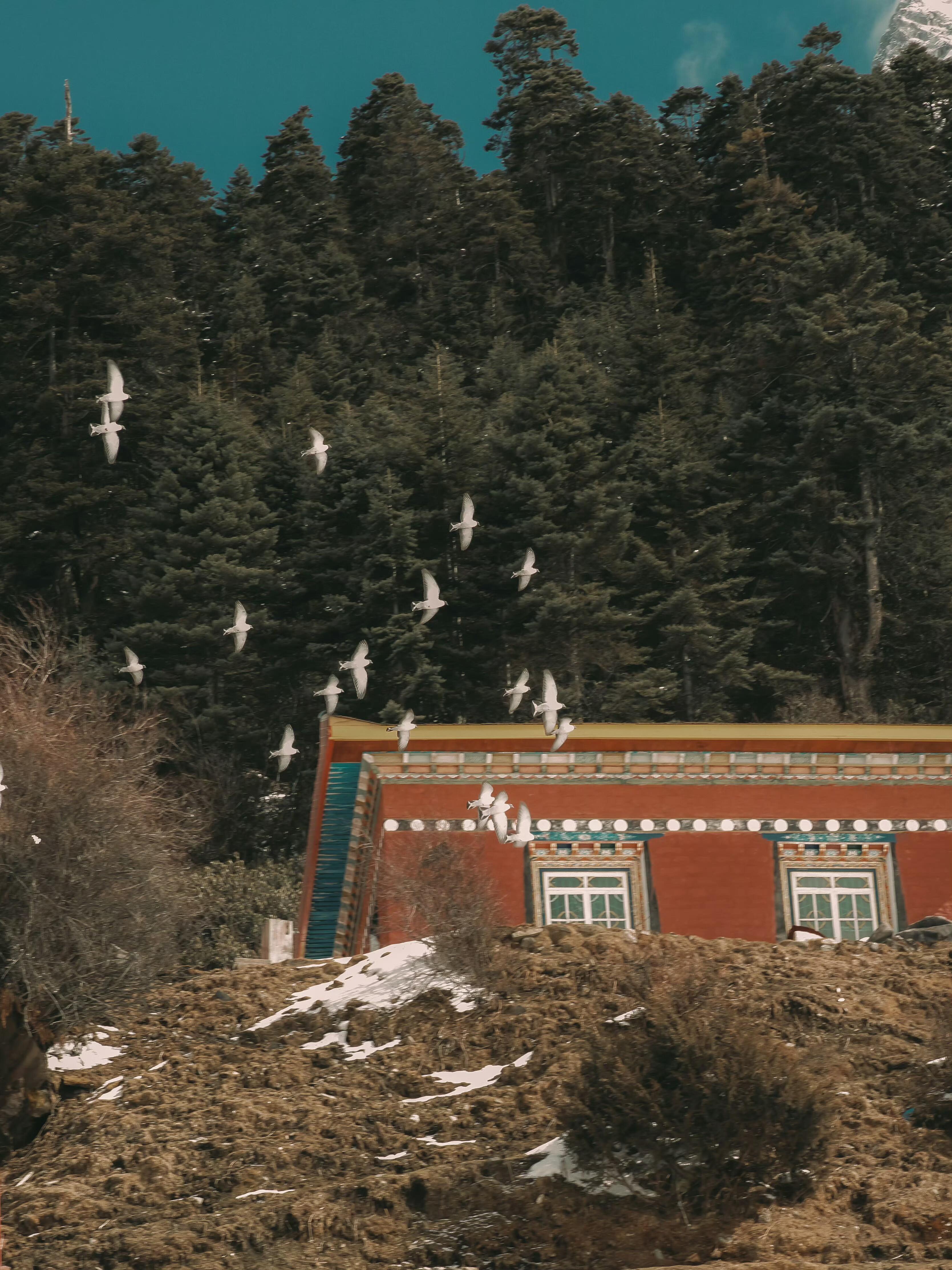 谁懂李昊风景照！太会拍了！一张灵动鲜活，一张静谧磅礴光影和构图都拿捏得恰到好处隔