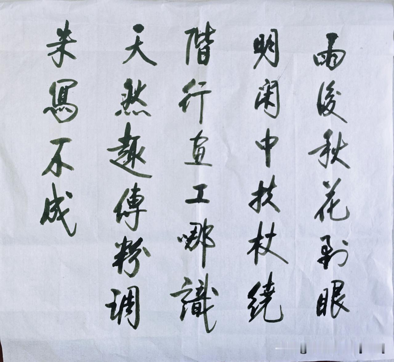 启功书法深具“温润书卷气”，在艺术市场与收藏界备受推崇。作品用笔细腻灵动，墨色浓