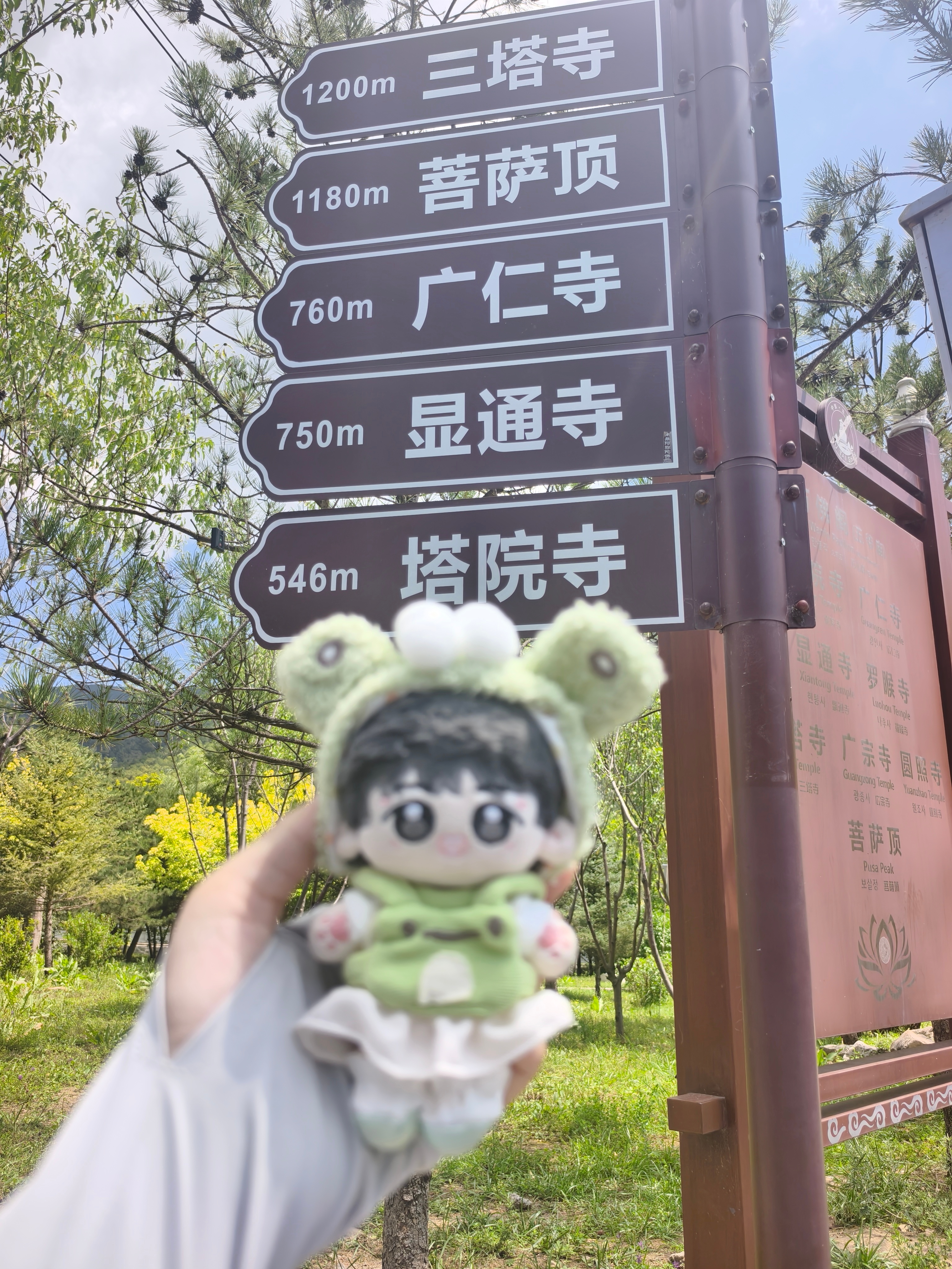 不一定都能爬到一起打卡山西海拔还挺高我开始头晕了😵💫