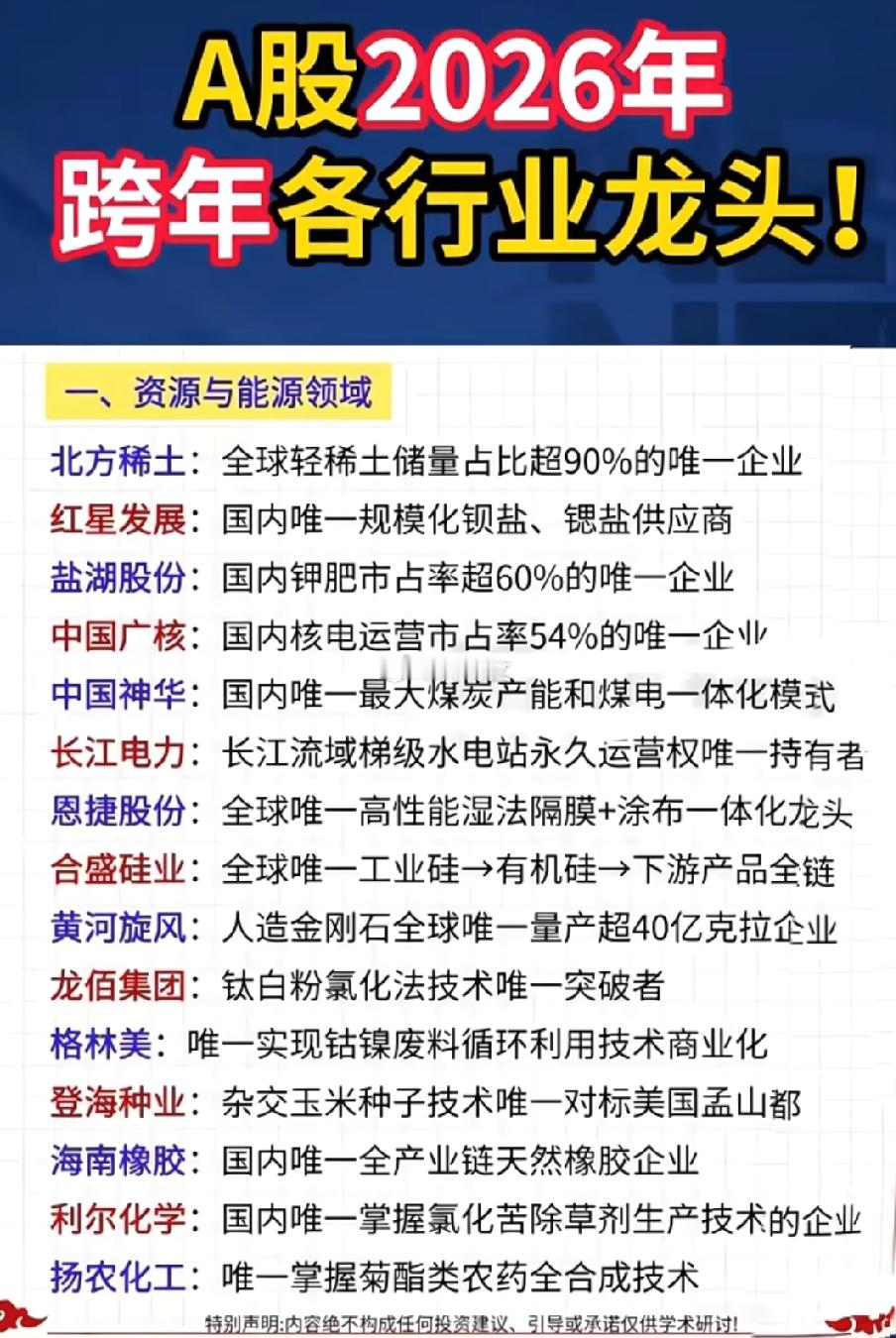 2026跨年主线掘金指南，各行业“唯一龙头”全曝光，抢占先机就看这篇！2026跨