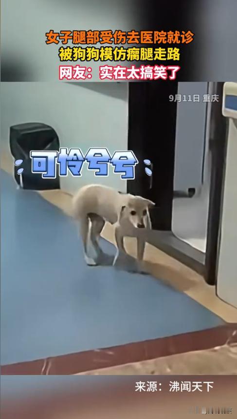 “笑不活了！”2025年9月，一名女子腿伤就医后，只能瘸腿走路，而后他发现医院的