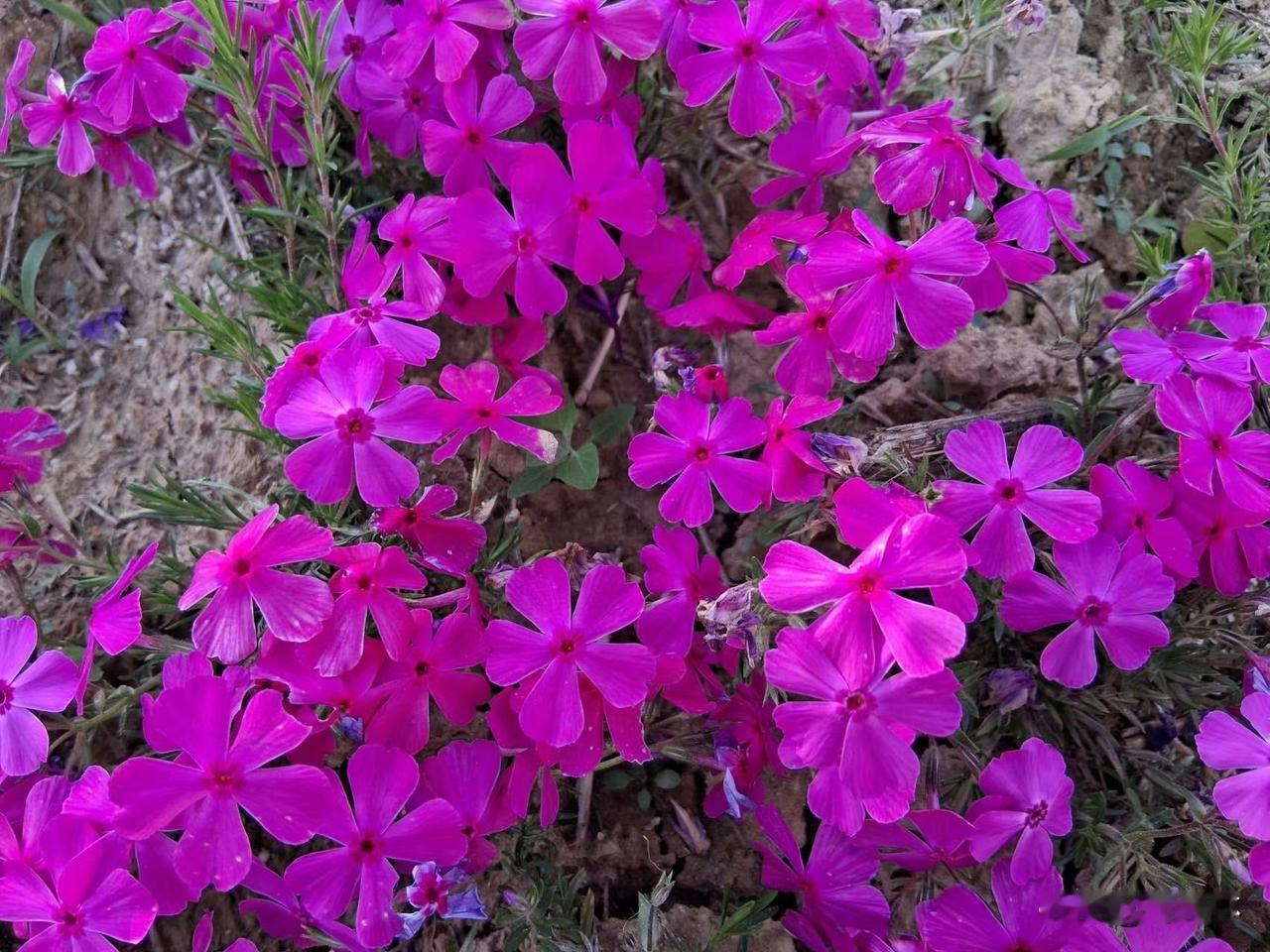 你有什么激励自己的文案吗?“忙完这阵就好了”，这大概是我们对自己说过最多的谎。生