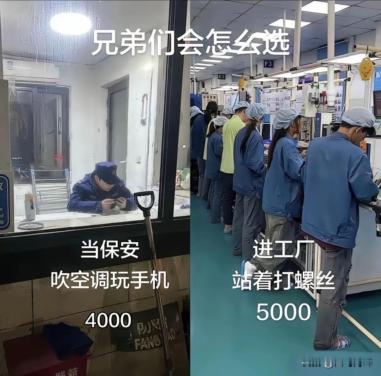 怎么选？
反正我觉得当保安挺好的。