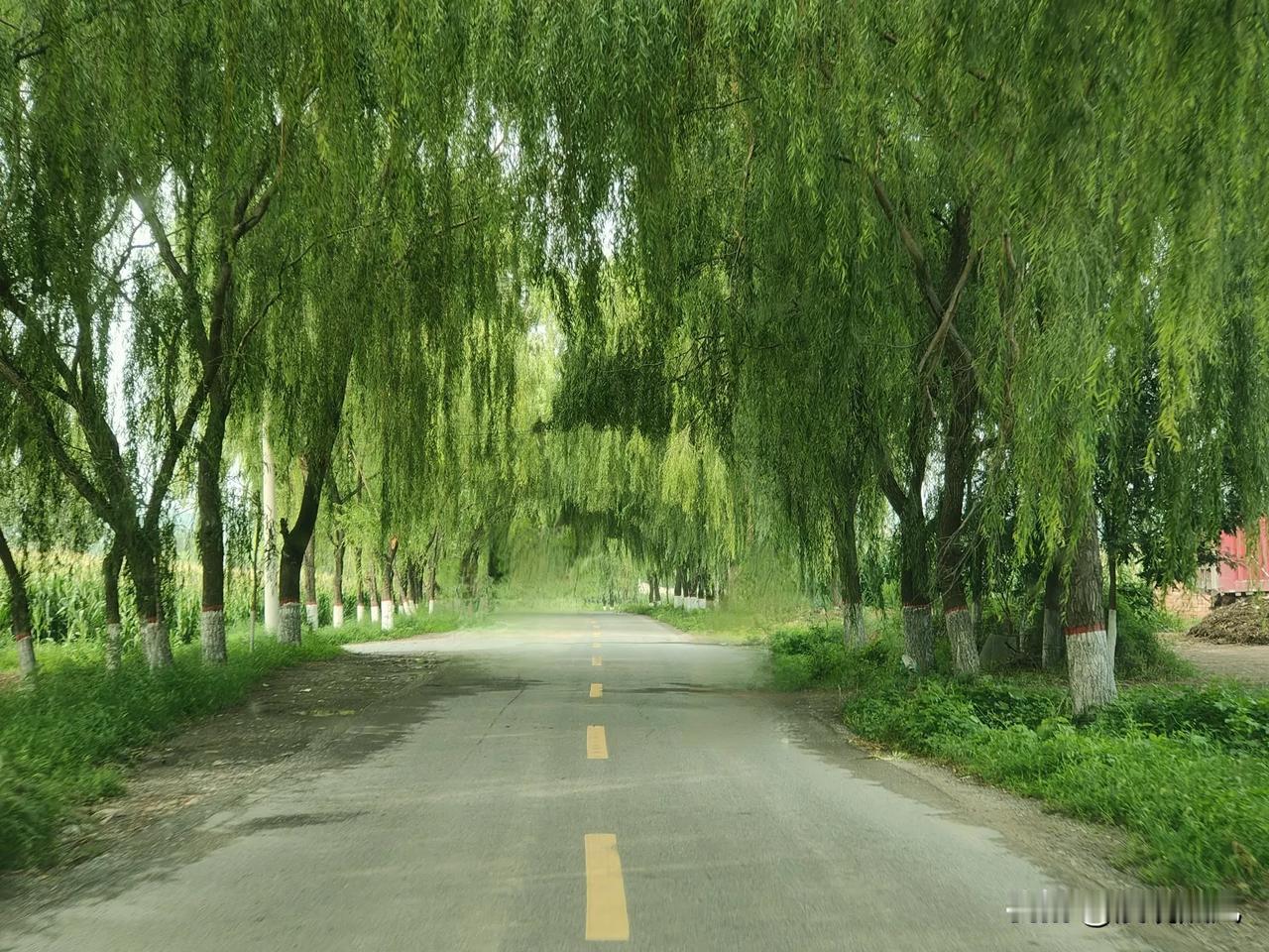 #分享一张景点照片#