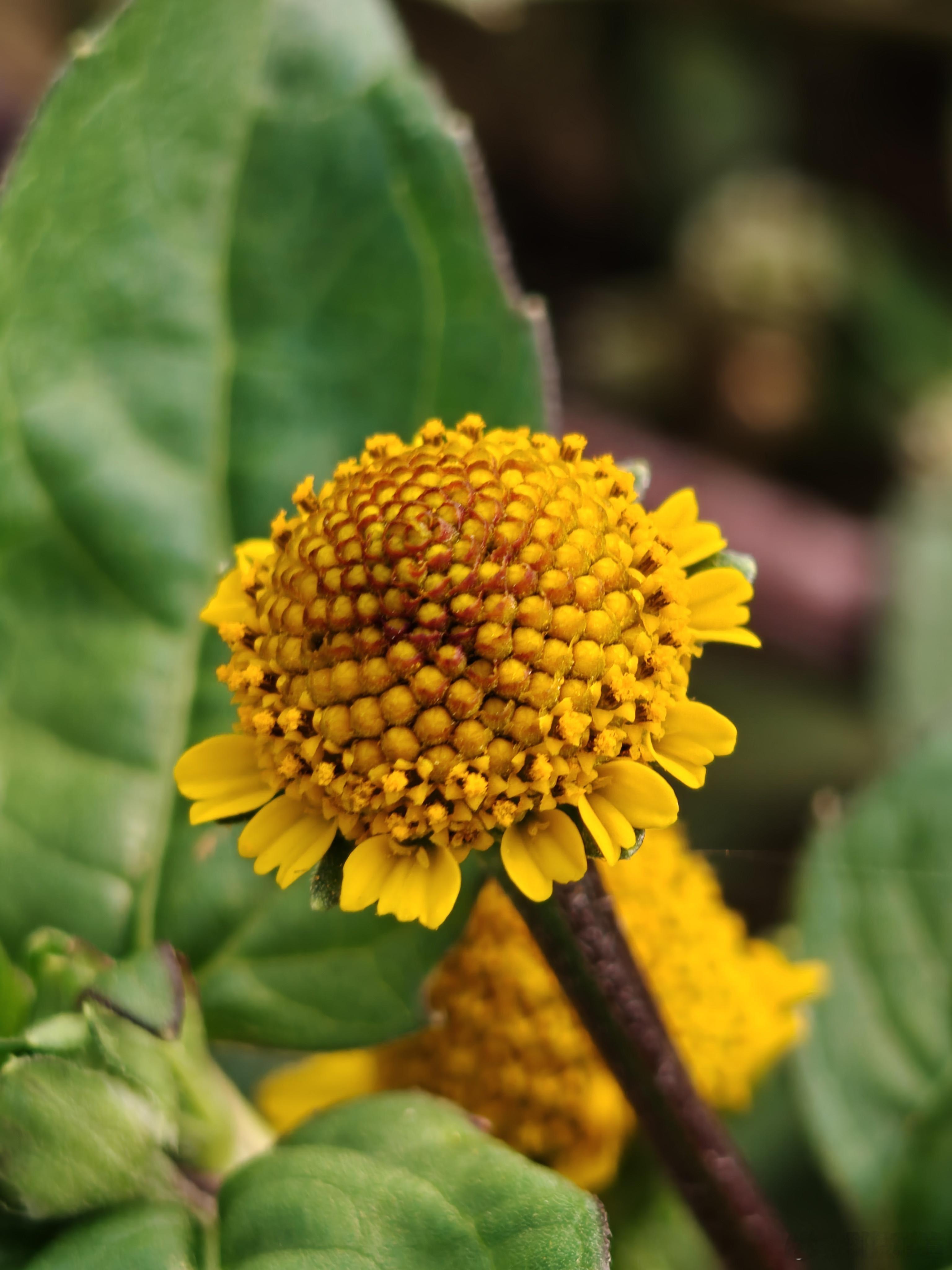 买手机看快充，别只盯着峰值瓦数的亮眼数字，先核对两个核心细节！很多机型标称百瓦级