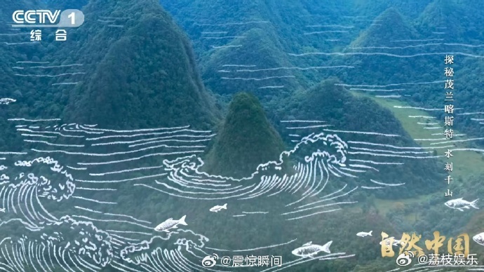 原来贵州曾是大海 贵州山顶发现亿万年前珊瑚化石 真的被震撼到，贵州山顶居然藏着亿