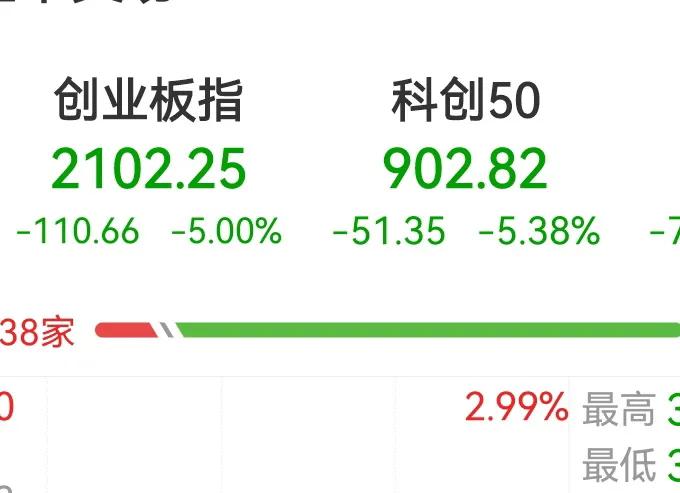 这波行情最惨的莫过于冲进创业板和科创板的人，听信什么双创，信创，国产替代，这下满
