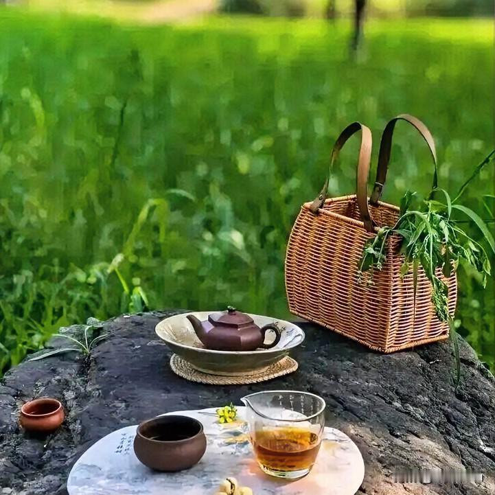 窗外的喧哗渐渐远了，像潮水退去，只留下满室的静。茶刚泡上，热气缓缓升着，把时光都