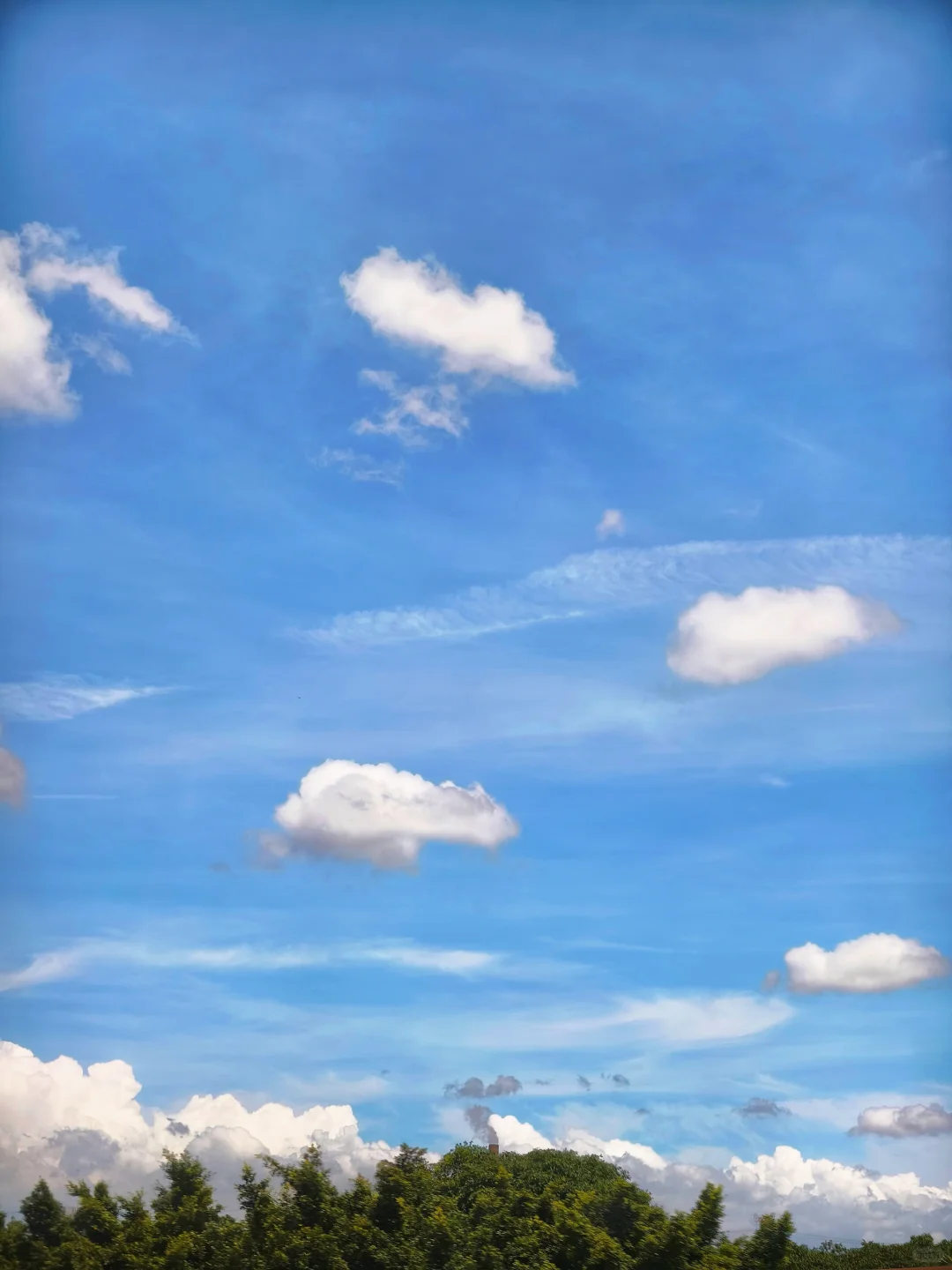 手机拍到的，抬头看天真的治愈