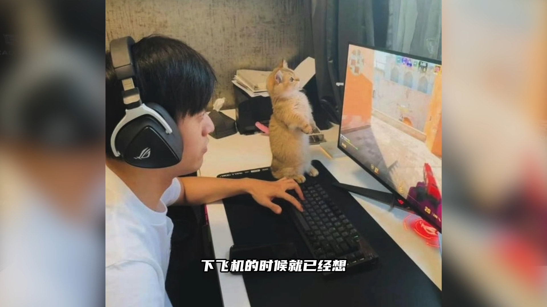 周冠宇回国第一件事是撸猫 从赛道飞驰到居家撸猫，周冠宇归国首选撸猫充电，硬核车手