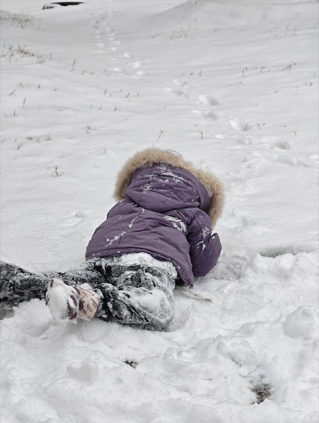 好多年没有下过这么大的雪了，今儿带娃去雪地里撒野了，小家伙一看到雪就跟上了发条似