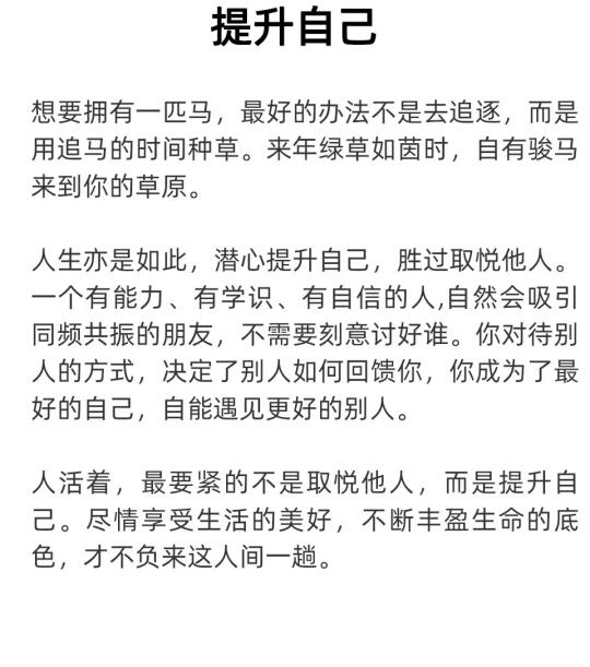提升自己