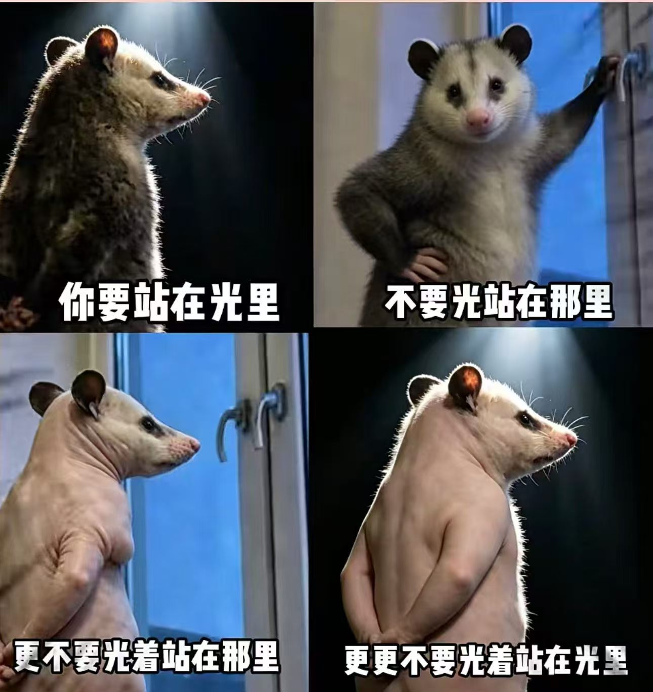 中华文字，博大精深 