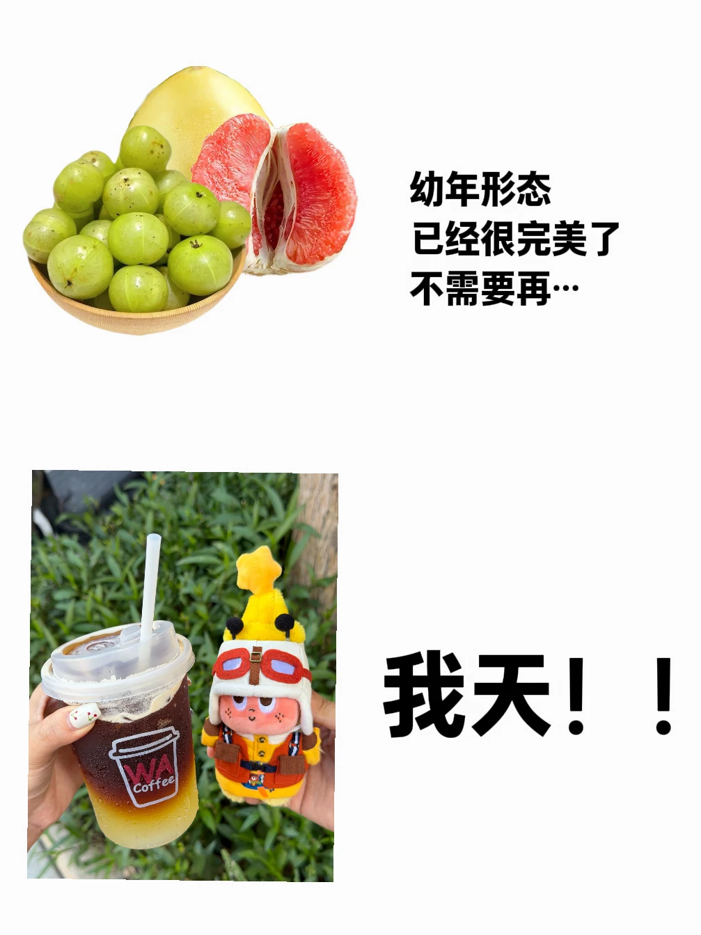 卧卧…9.9在华莱士吃到这种配置我真的会哭！