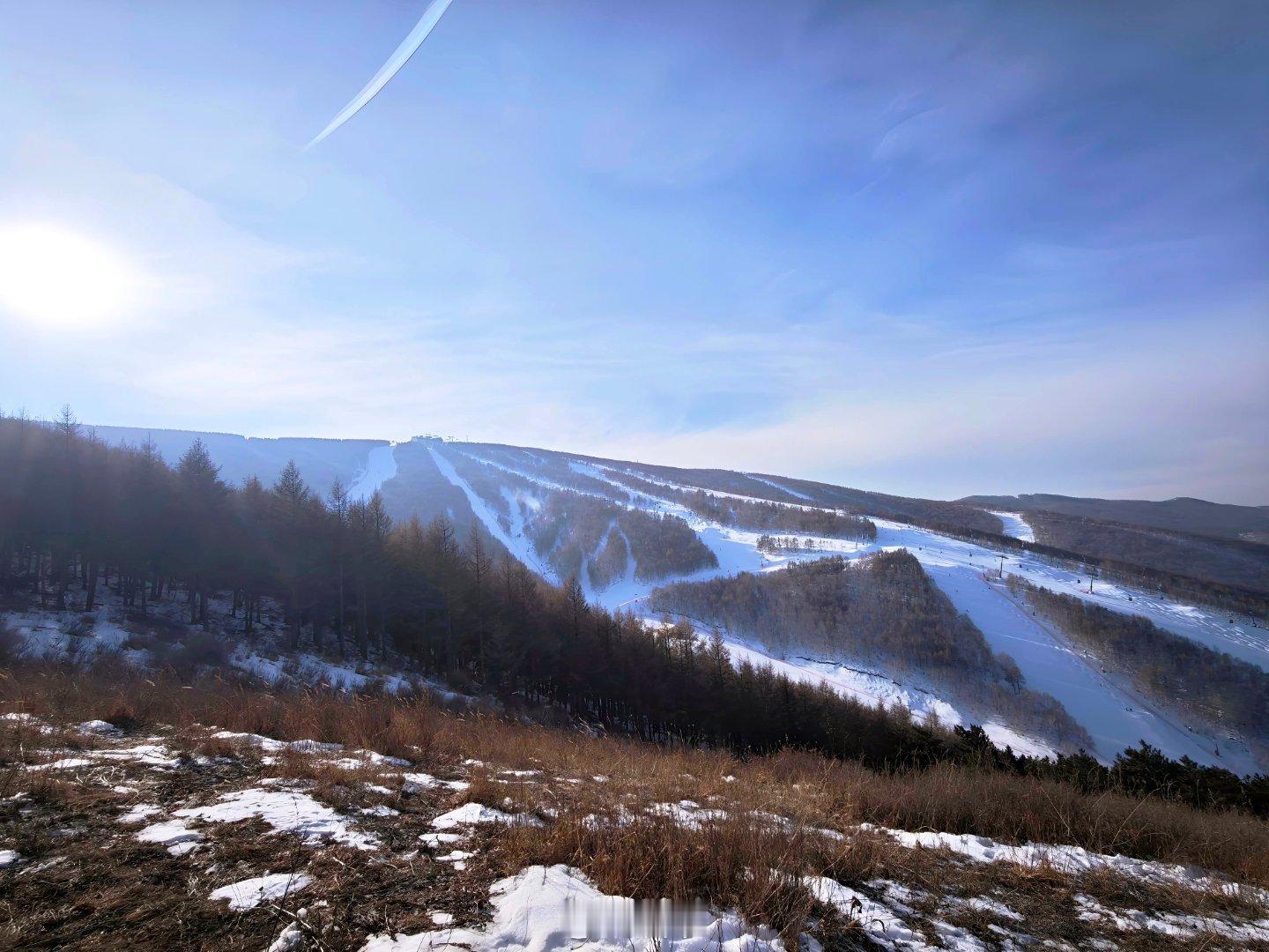 做了一天小树林的除草机 