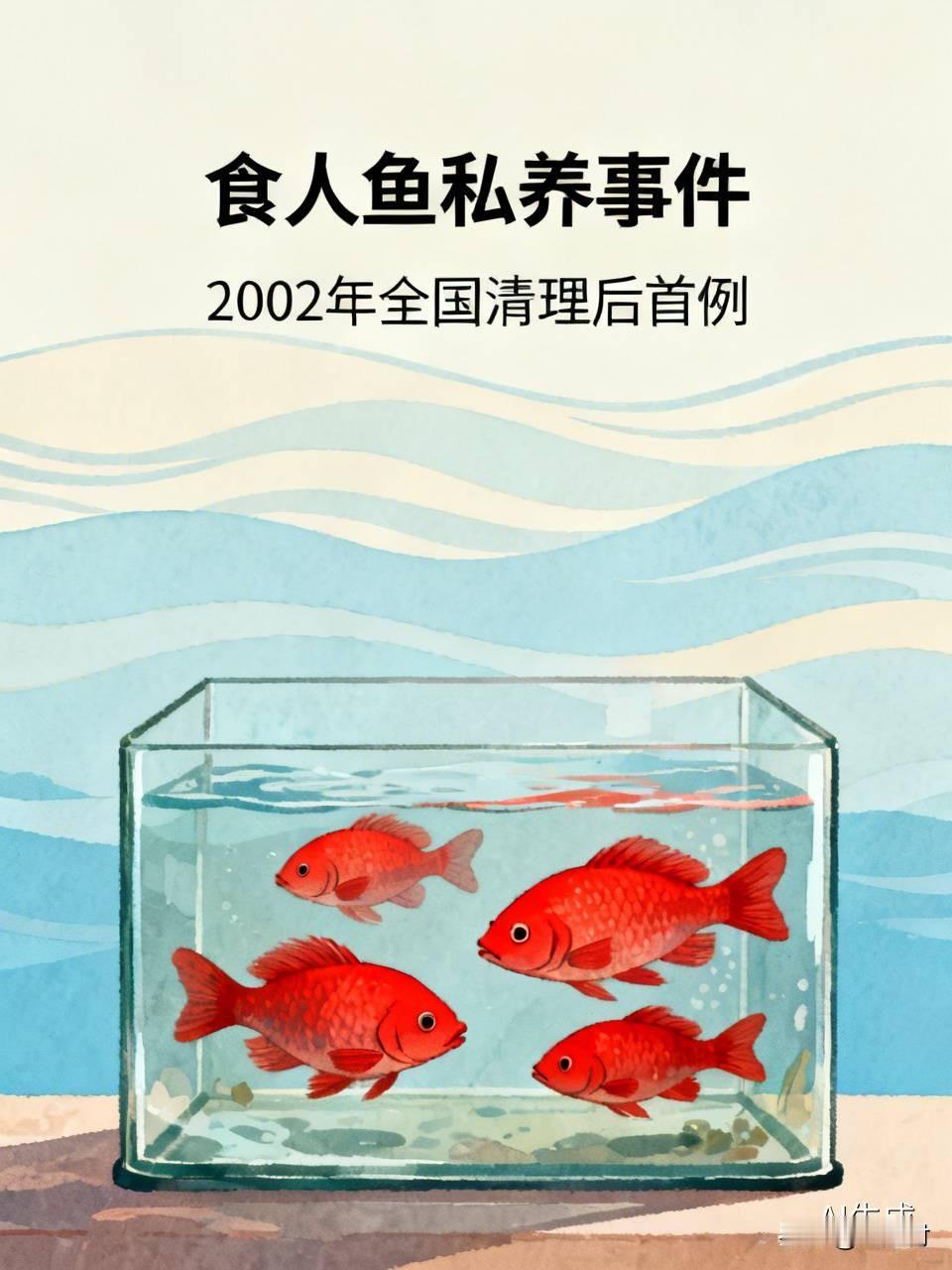 网友饲养2000条食人鱼 2002年，网友养了2000条食人鱼，当时我国把人工饲