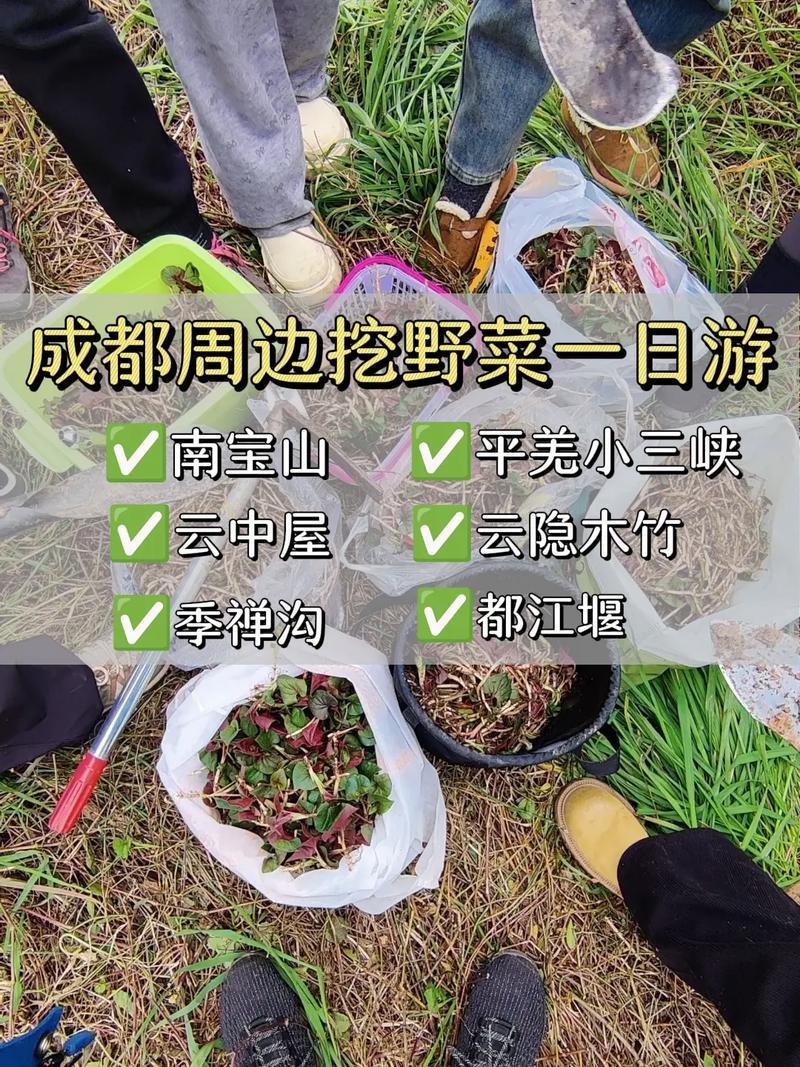 成都周边免费挖野菜好去处



随着春季来临，成都掀起“打野”热潮，市民纷纷前往