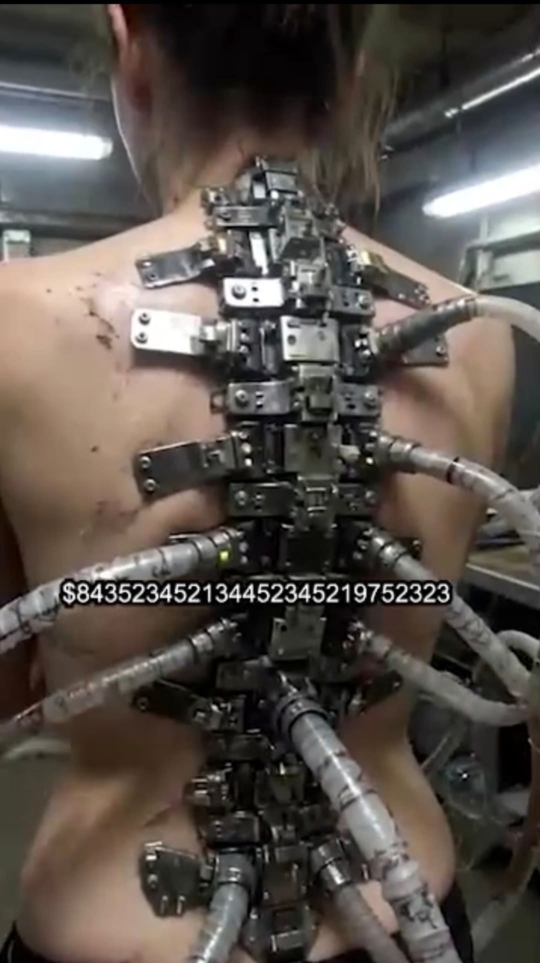 网络足迹 20260624 