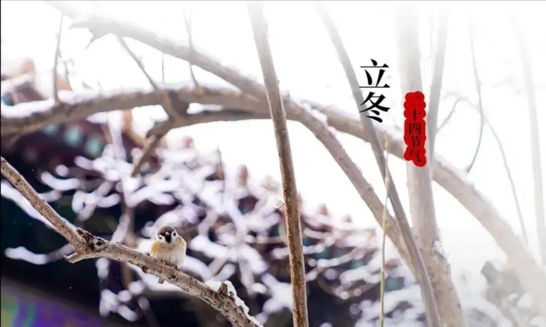 嘿，你知道吗？今年的立冬呀，那可真是太不一般啦，堪称是60年才一遇的稀罕事儿呢，