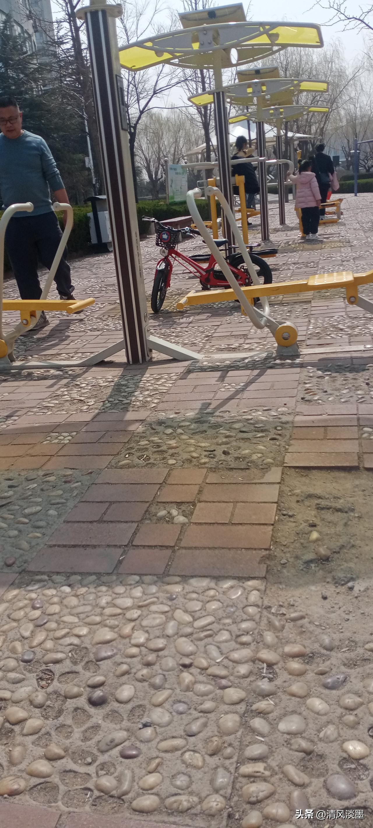 公园的主干道旁，两排樱花树正开得烂漫。粉白的花瓣层层叠叠，像蓬松的云朵缀满枝头，