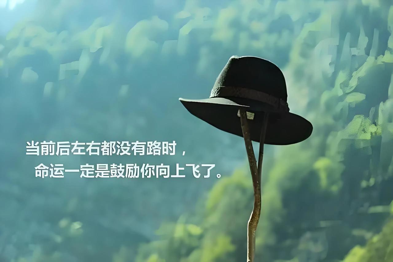 #人这一生有什么东西永远属于自己#人这一生，有些东西是永远属于自己的，无论外界如