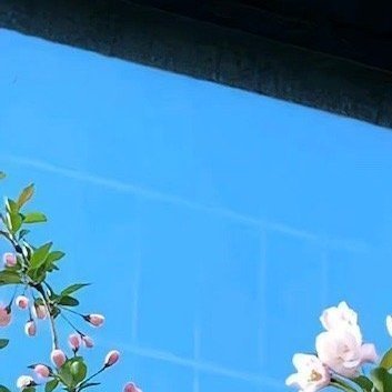 阳光信用‎阳光‎信用 ‎每日一善 你若真见过那些强者打拼的样子，就一定会明白，那