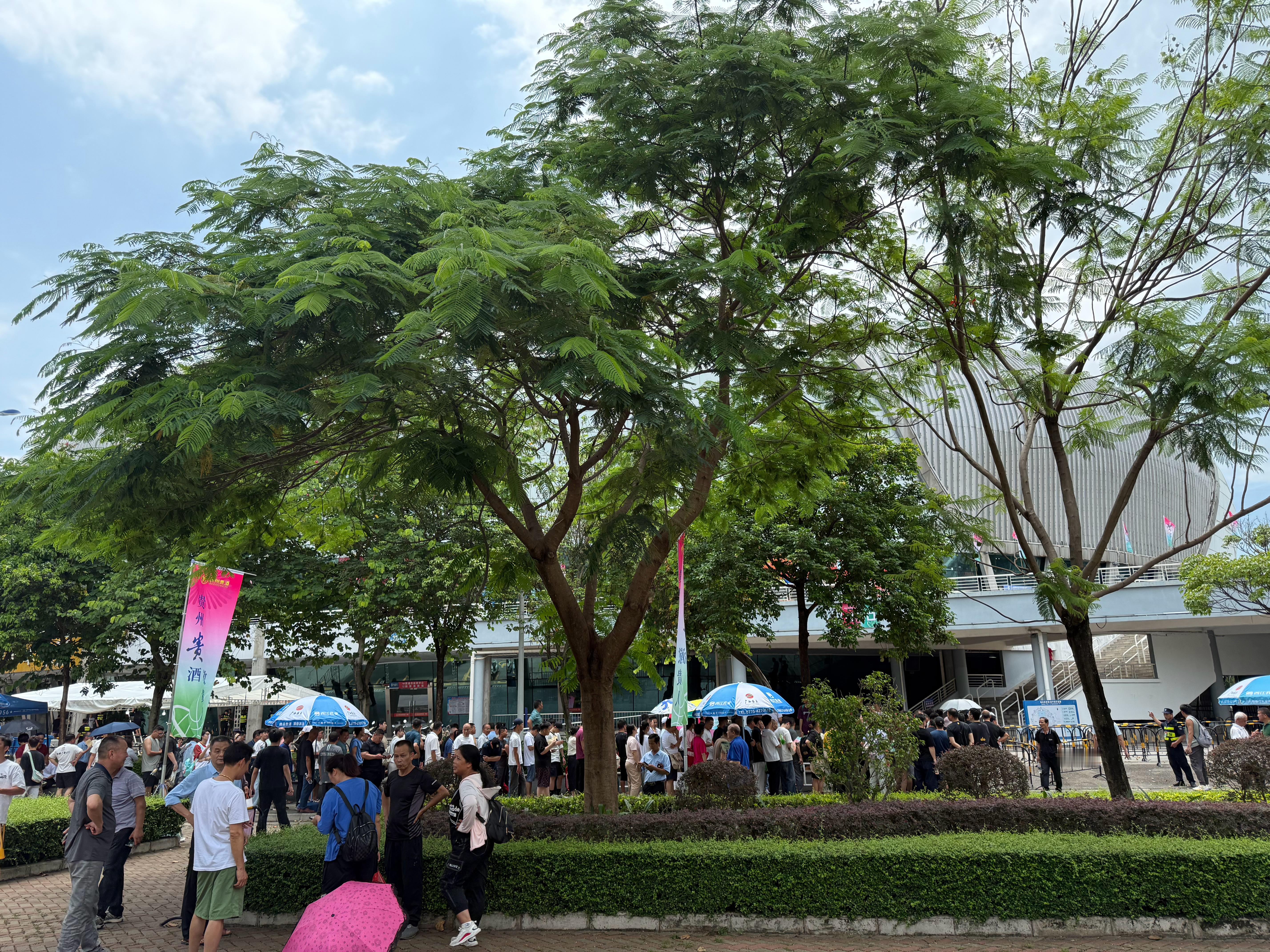 广西太热了，但是球迷很热情！全运会 ​​​