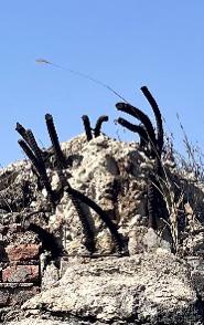 树靠根长,鱼靠水养,人靠啥?人靠流量！没有流量，就像没有汽油的车，就是一个趴窝的