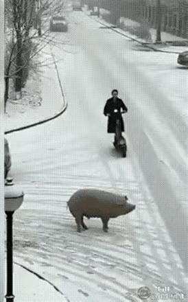 这大冬天的骑车开车一定都要注意安全，希望这只是AI