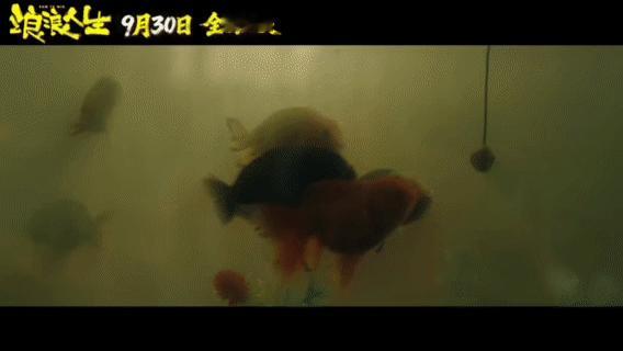 电影浪浪人生9月30日上映浪浪人生当大哥的四要素 生活给黄荣发设下重重关卡，有了