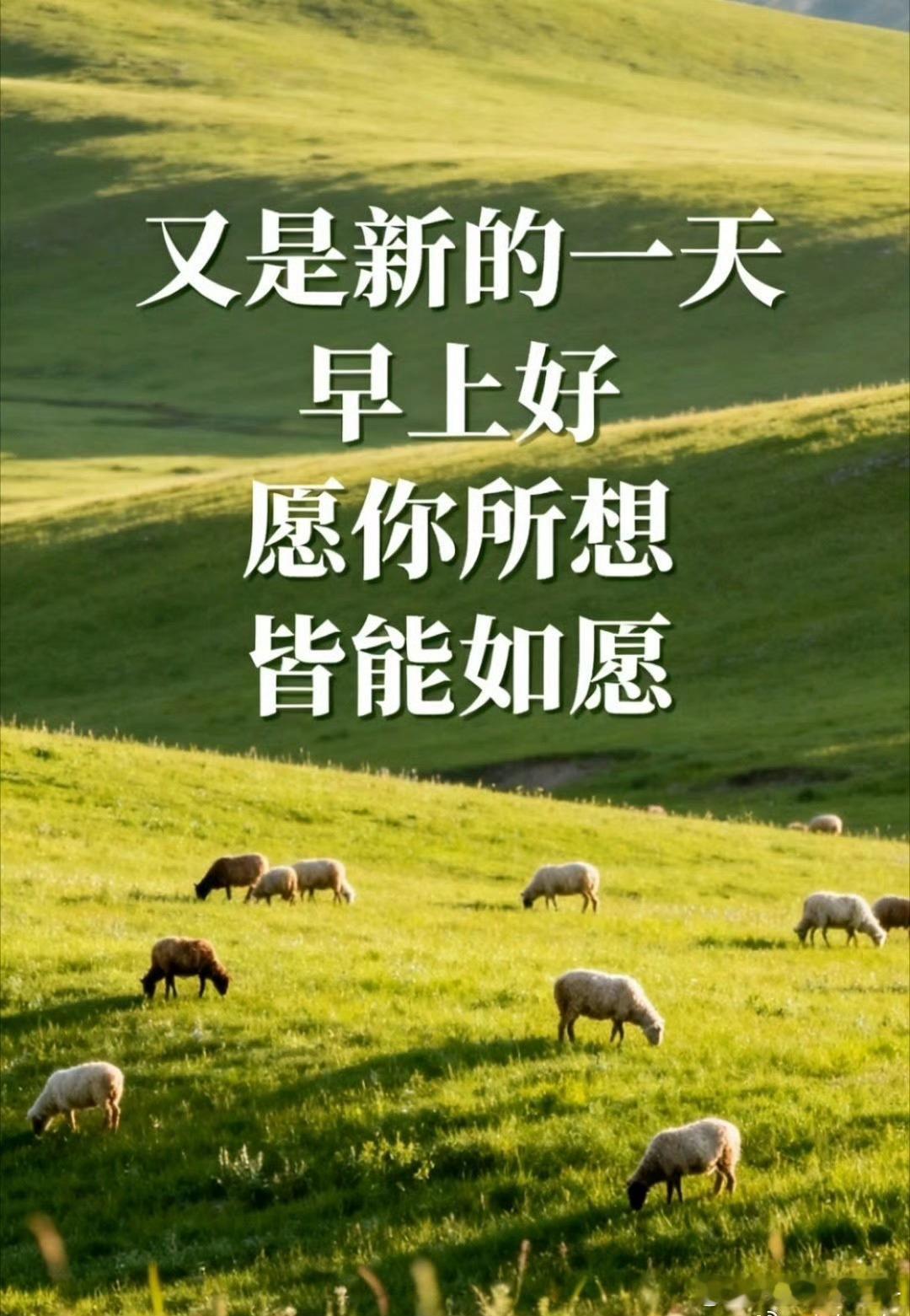 0800早安！愿不负每一天的好时光！每天都有好心情！ 