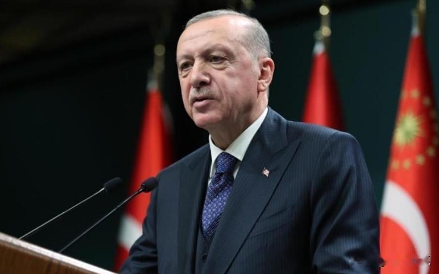 埃苏丹强硬发声，土耳其已与以色列断交，已没有任何联系，现在不想采取任何措施修复这