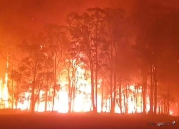 在头条上混都不容易，大家本就素不相识，都是因喜爱头条才相聚于此，理应秉持互相学习
