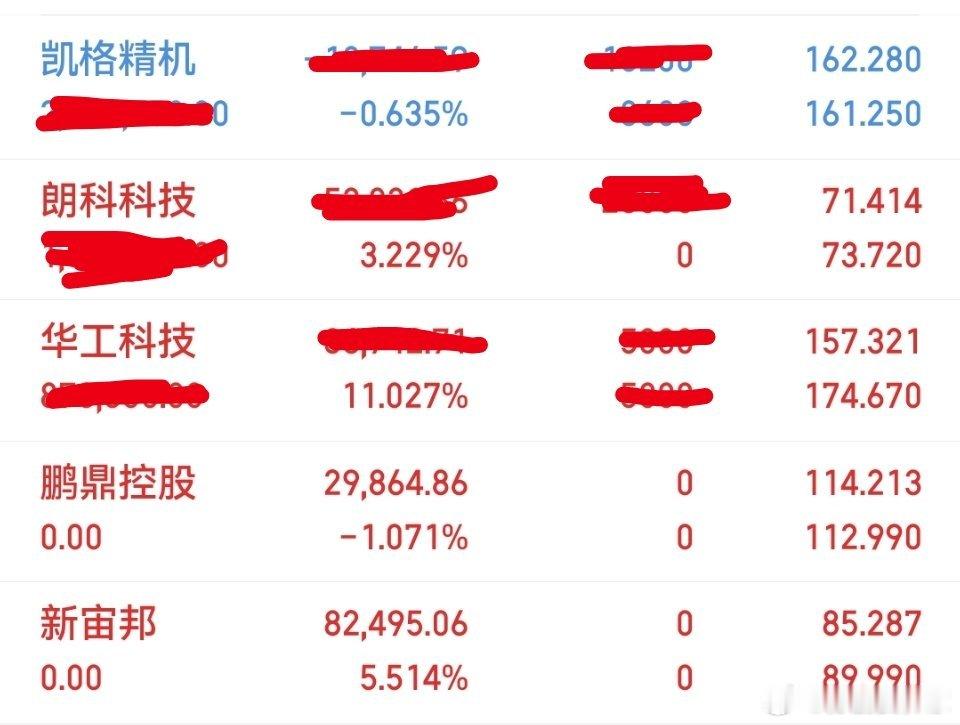 今日操作出局：鹏鼎控股，新宙邦持有：凯格精机（加仓了），朗科科技（新进），华工科
