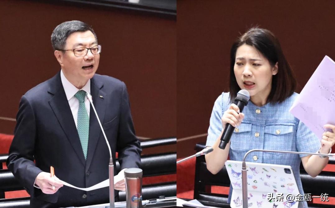 卓荣泰秀包机单据喊可报公帐吗？徐巧芯强硬回击：我不是你妈

针对赴日是不是包机自