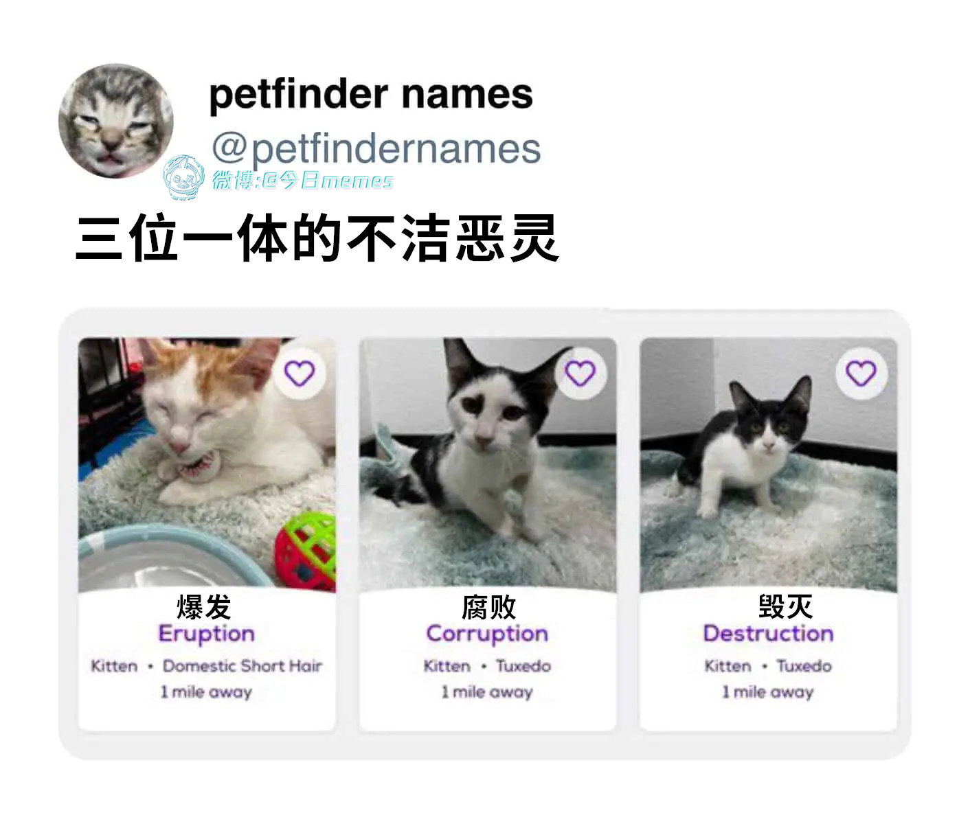 恶三（petfindernames）今日meme 今日memes
