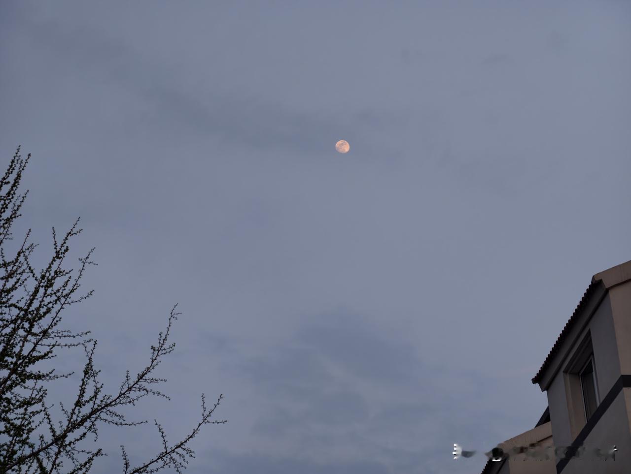 你有多长时间没有看过雄安的夕阳和月亮了。
在安新这个白洋淀畔的小县城，忙完的我抬