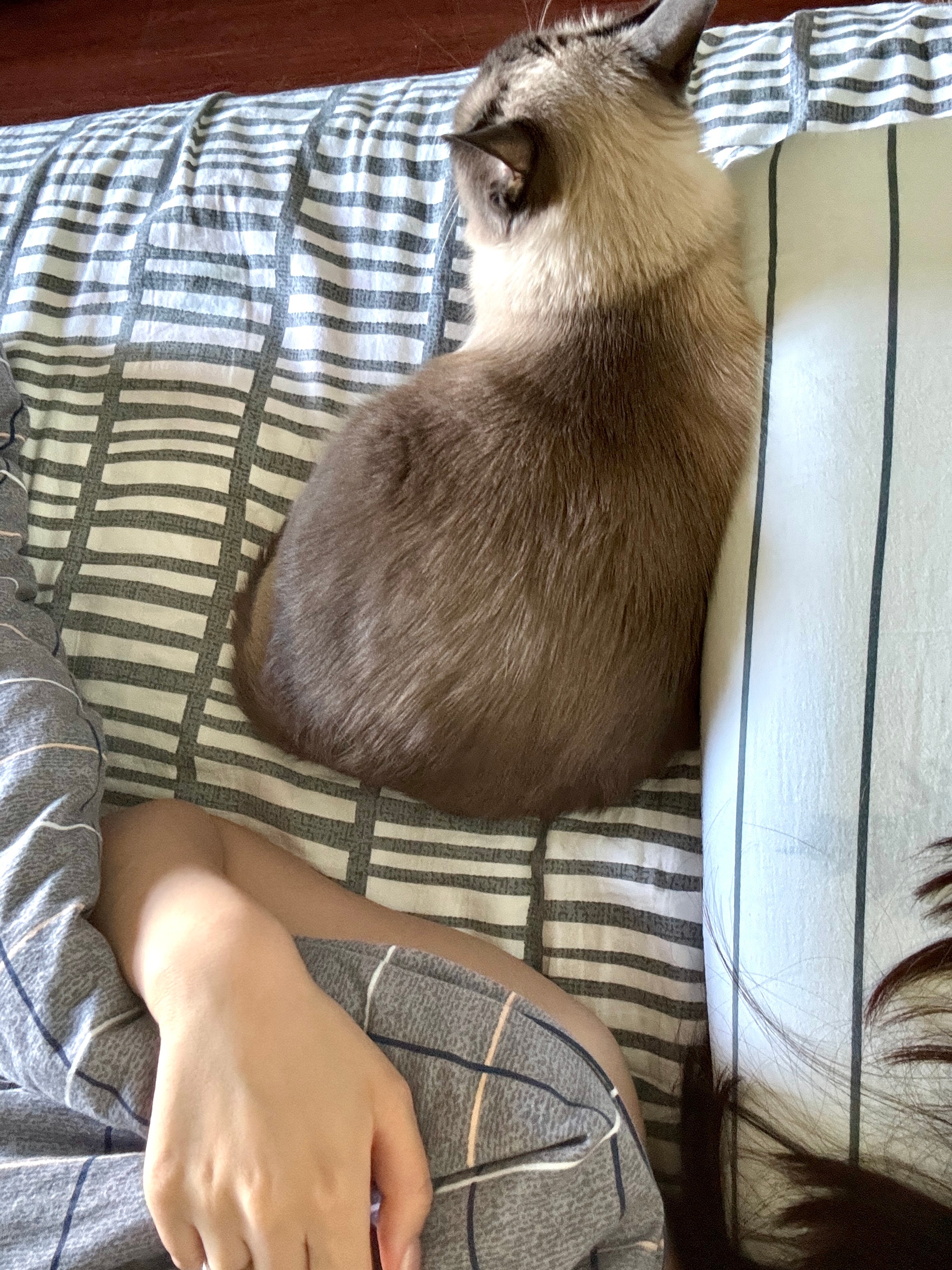 水一条 