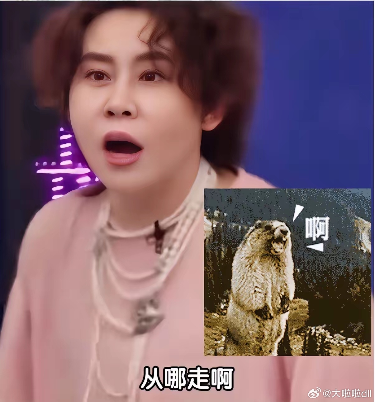 我有一种预感！ 今年的“浪姐”要大爆了不是因为曾沛慈的回忆杀，而是王濛这个“魔丸