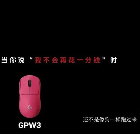 罗技：像狗一样跑过来！

它代表了很多商家的真实想法，但这个事都是只做不说，它说