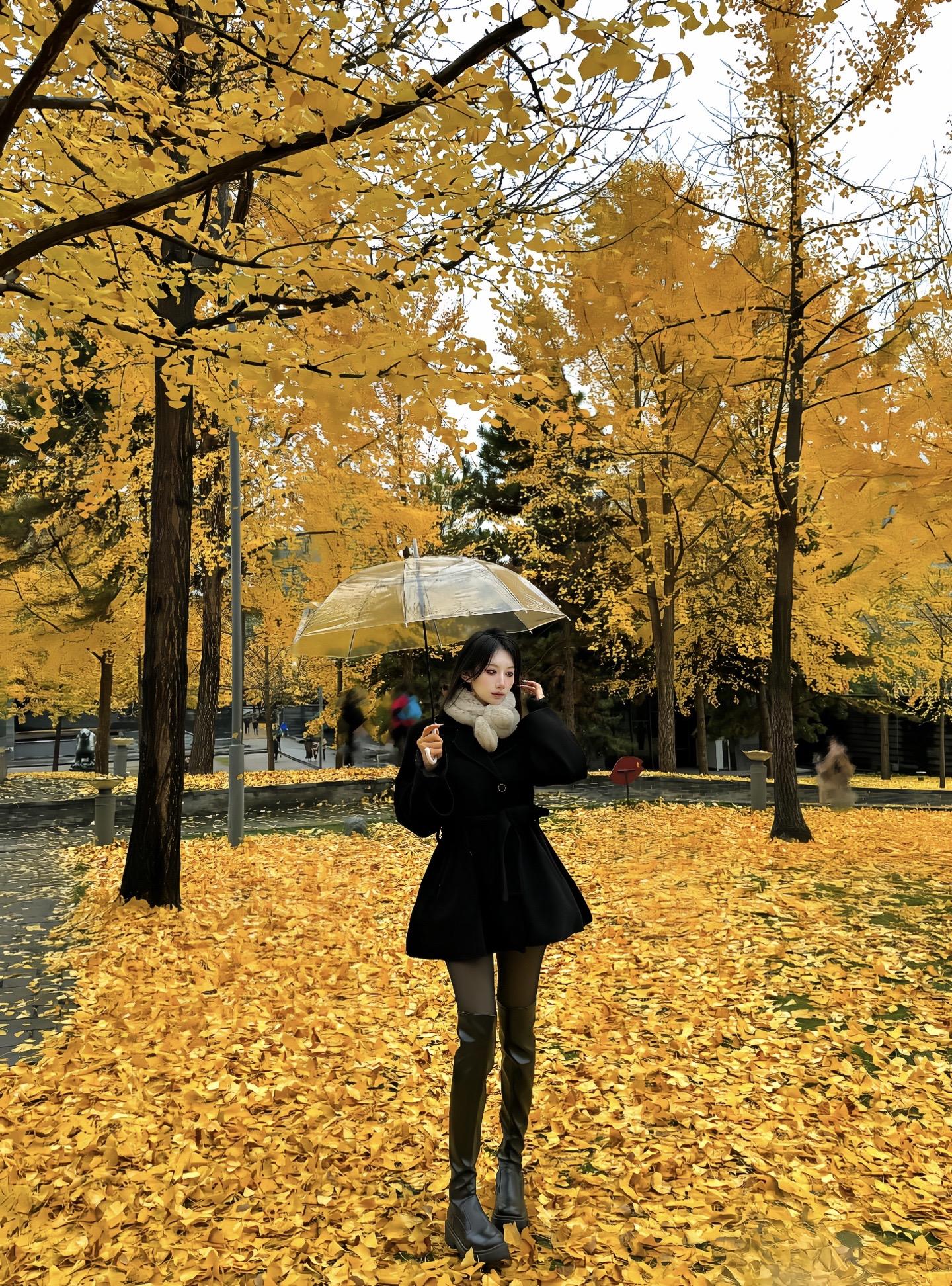 人间朝暮 叶落惊秋