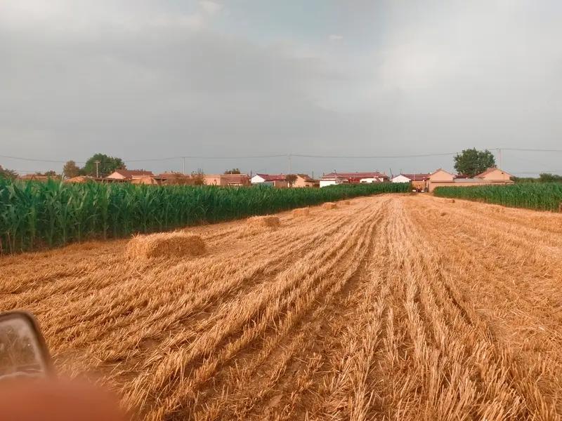 如果一个人背后空空如也，没家底托底，没真心人脉，连伴侣都是套路来的。那么，他所有