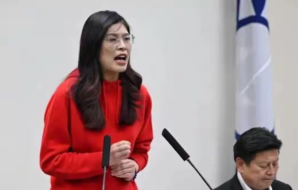 民进党看来还是死性不改！也就是说，民进党在接下来的2026与2028还是要猛打一
