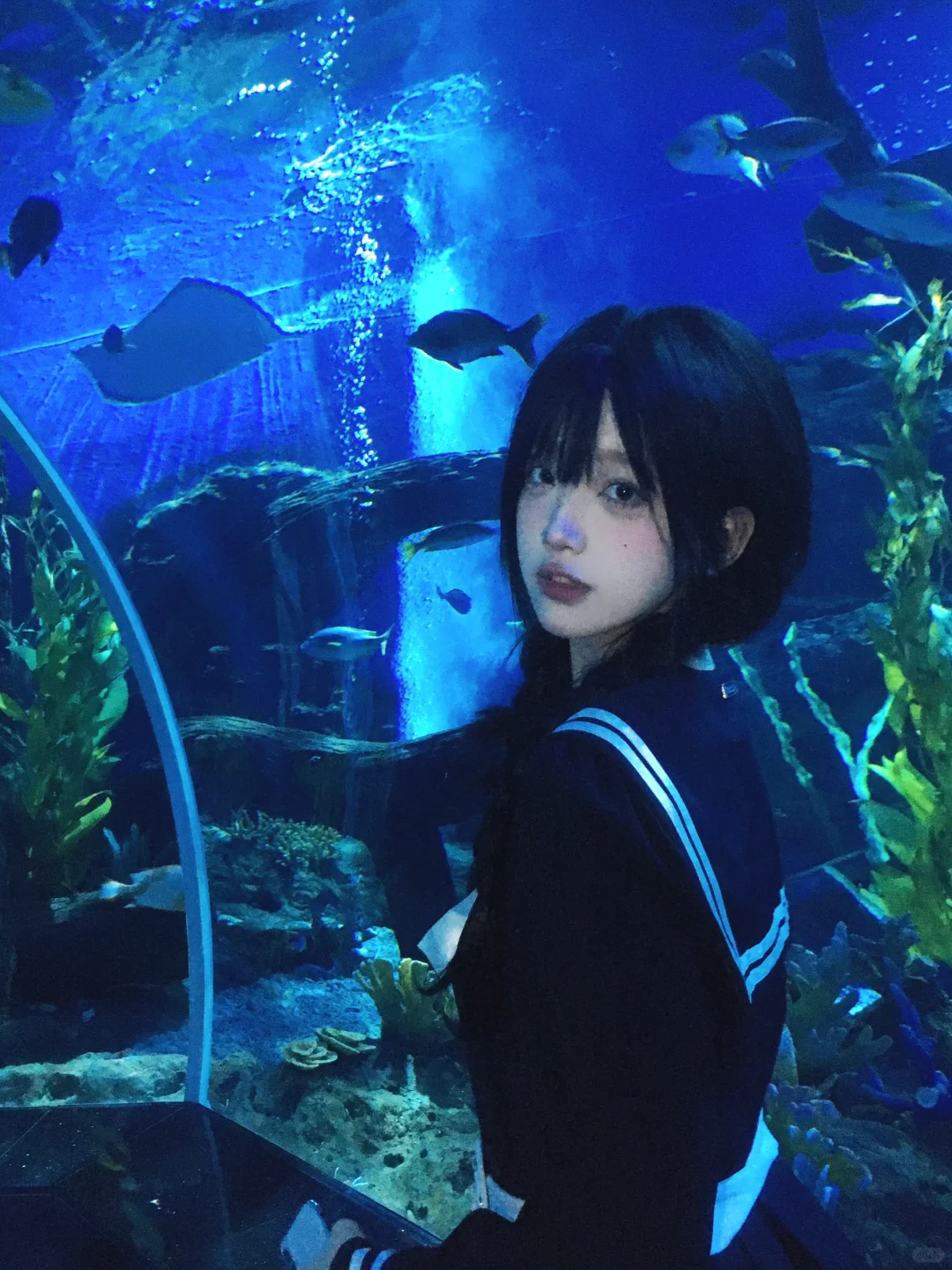 一直游到海水变蓝