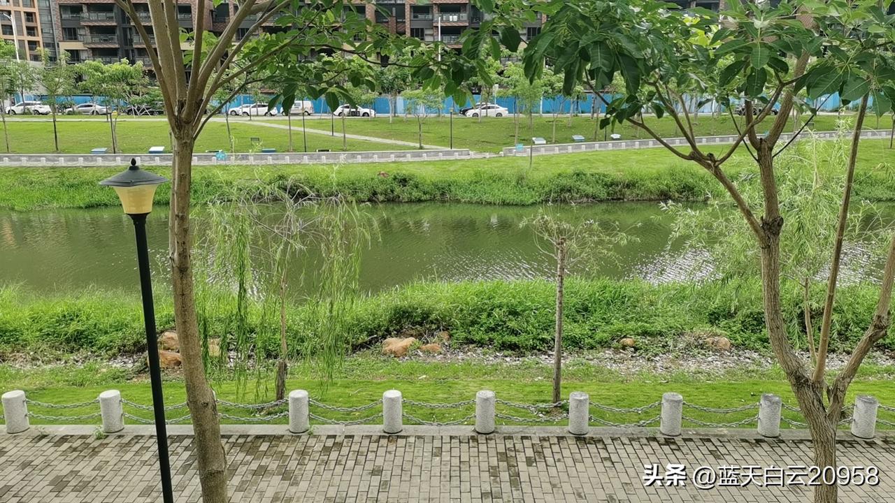 同事以前经常跟我们说她女儿命苦，遇人不淑。同事两个女儿，大女儿嫁了个二婚老公，生