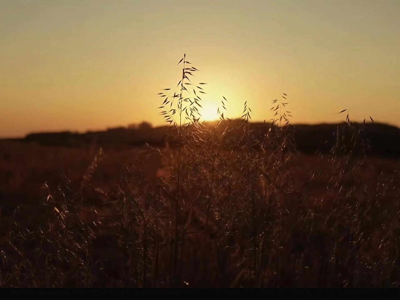 今天看到“夕阳西下，如同一幅缓缓收拢的古老画卷。落日余晖，似是时光不经意间洒下的