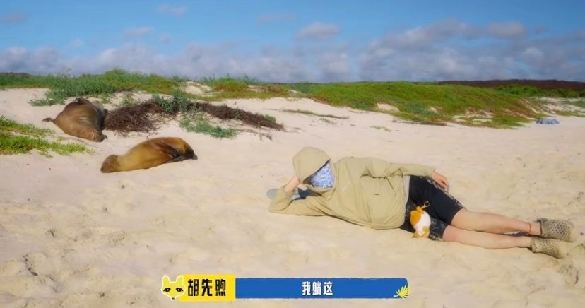 胡先煦把他的活人感带上伊甸了 《伊甸》的罪恶岛遇上胡先煦的生机，碰撞出奇妙化学反