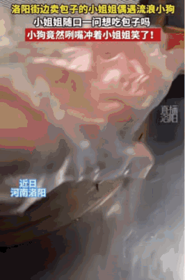 太暖心了。这只流浪狗被刚蒸好的包子香味吸引到了，它站在这家包子摊儿前不想走。
摊
