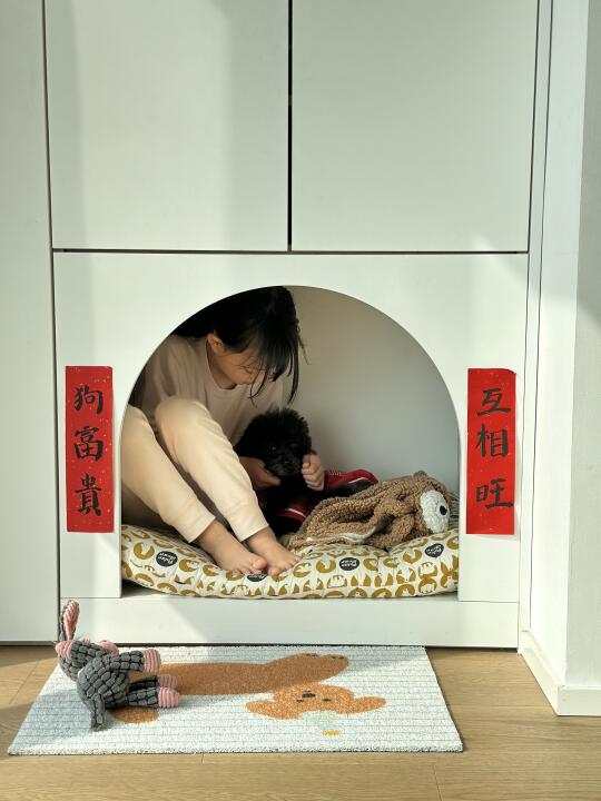 有时候，狗狗也很想报警吧