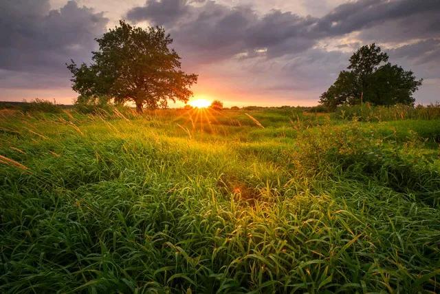 大美长沙
自然之美八睡城，
鸟语花香生态盈。
土农产生两兴旺，
大美长沙若仙境。
